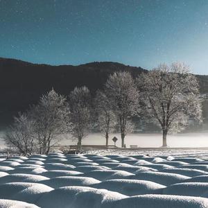 初闻不知曲中意<翻唱>