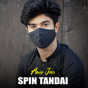 Spin Tandai
