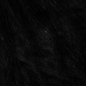 運命の果て、あるいは星屑の彼方