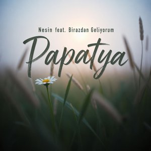 Papatya
