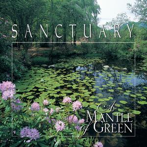 A Song from the Forest