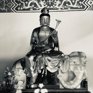 半曲相思