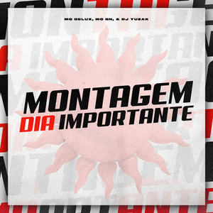 Montagem dia Importante