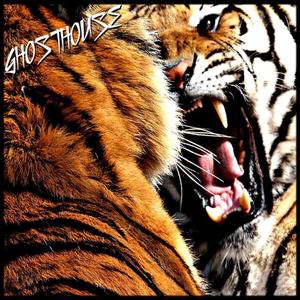 9.2.5 (Sam Padrul Remix) (Sam Padrul Remix)