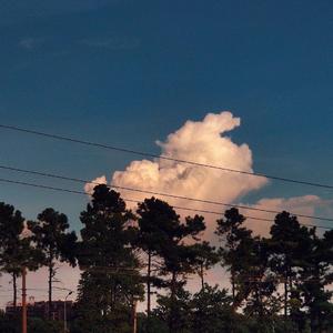 夜是克莱因蓝的忧伤（cover）