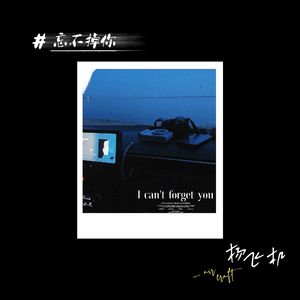 忘不掉你