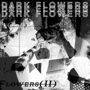 Flowers(II)