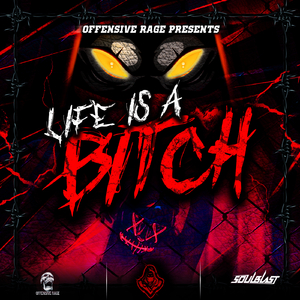 Life Is A Bitch (Original Mix)