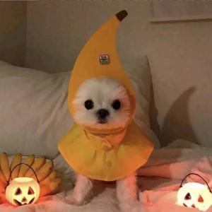 星晴很好听-MELA_mix（星晴很好听 remix）