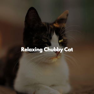 Ballad Jazz Soundtrack for Jazz Experiences