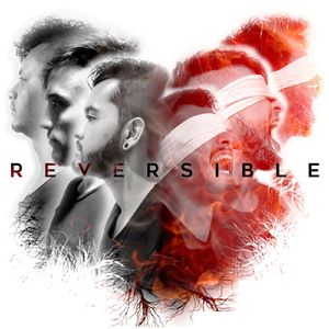 Reversible