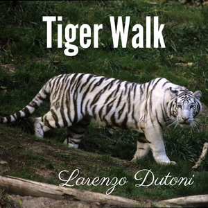 Tiger Walk
