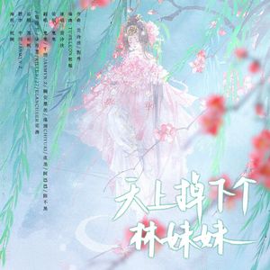 【各唱各】天上掉下个林妹妹（12p仙女版）