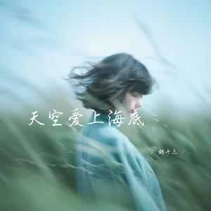 天空爱上海底 (深情女生版)