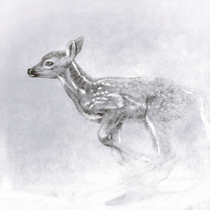 첫눈동화 (My First Snow)