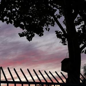 你以前不是这样的