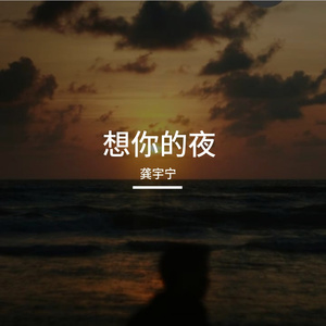 想你的夜（深情版）