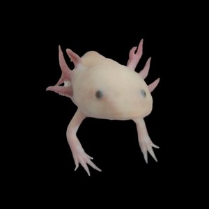 DARK美末惢童话.mp3