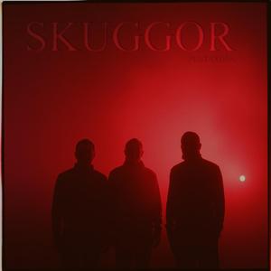 Skuggor