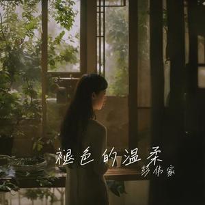 褪色的温柔