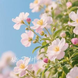 桃花树下 有我有你还有他