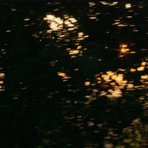 骗你的其实没你我很难过