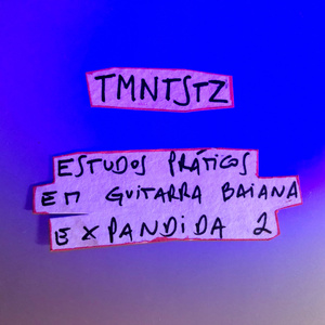 Tmntstz7Std22
