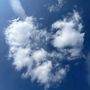 隔雨失语