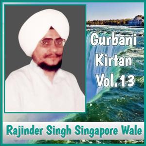 Satgur Dhaak Leeaa Mohi Paapee Parrada