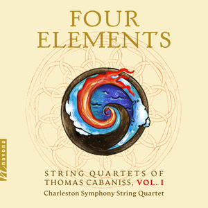 String Quartet #1 - Hidden Wounds:I. Agitato