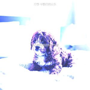 微妙的小狗心情
