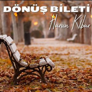 DÖNÜŞ BİLETİ