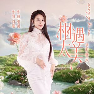 相遇太美