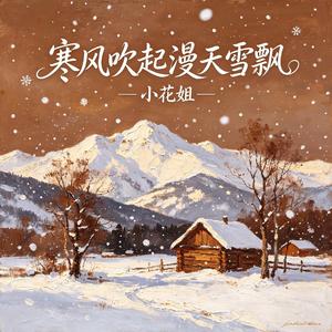 寒风吹起漫天雪飘