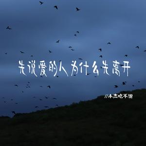 先说爱的人为什么先离开