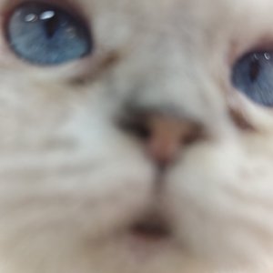 你是那年冬天的雪