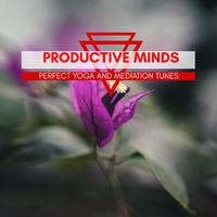 Productive Minds - Perfect Yoga And Mediation Tunes