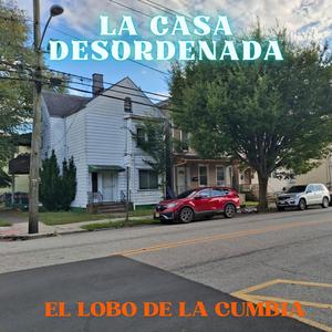 LA CASA DESORDENADA