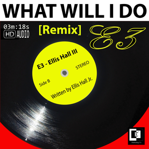 What Willl I Do [Remix]