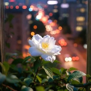 茉莉新語(Jasmine's New Whisper) by Guang-Ger