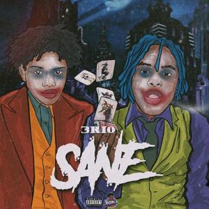 Sane