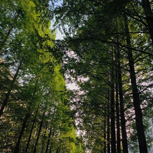 幸福prod by ambroboi