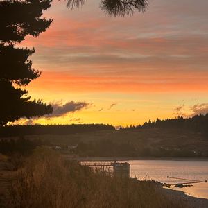 飞走了（Cover金海心）