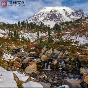 没有童话的世界(钢琴)