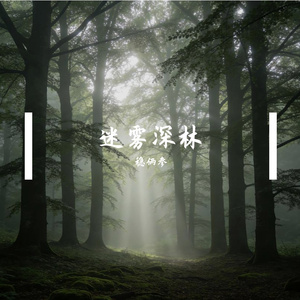 迷雾深林