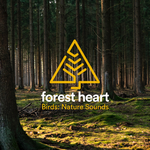 Tranquil Feathered Sanctum