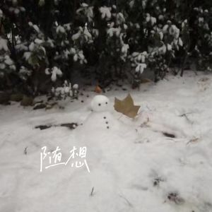 中国速度——2024运动会