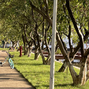 关于我喜欢冬天的原因（About the reason why I like winter）