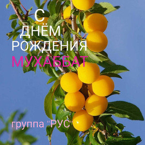 С Днём Рождения Мухаббат