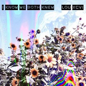 I Know We Both Knew